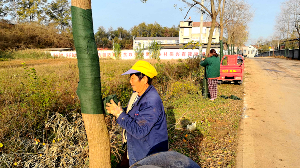 精管细护添绿韵 乡村振兴绘新景.png