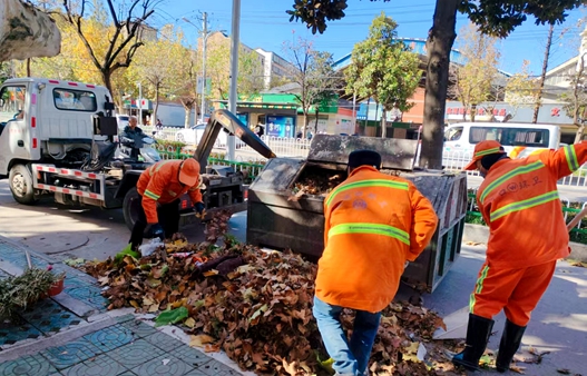市环卫处开展落叶清扫工作.jpg