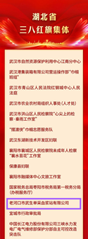 老河口血浆站获评“湖北省三八红旗集体”.png