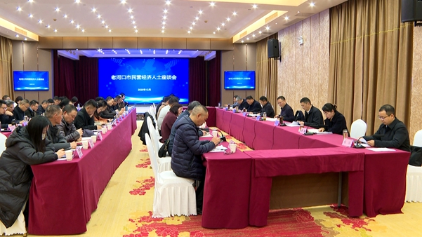全市民营经济人士座谈会召开.jpg